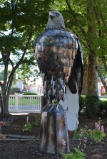 Cold, Wet Eagle by Jim Johnson - 2021